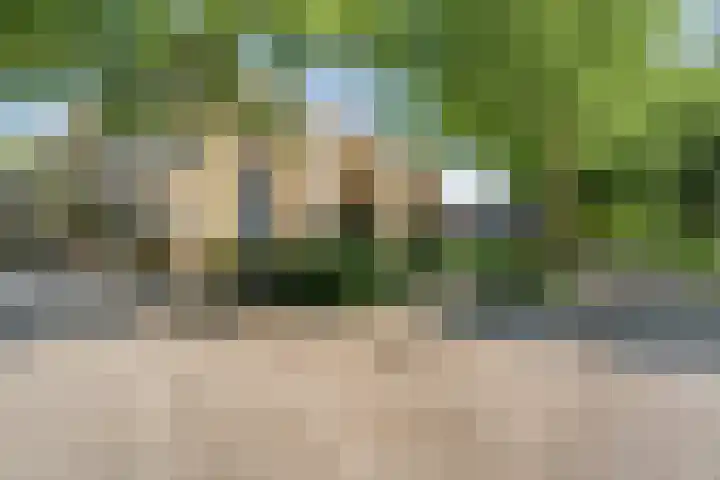 Veerallee 60 B Zwolle thumbnail 37