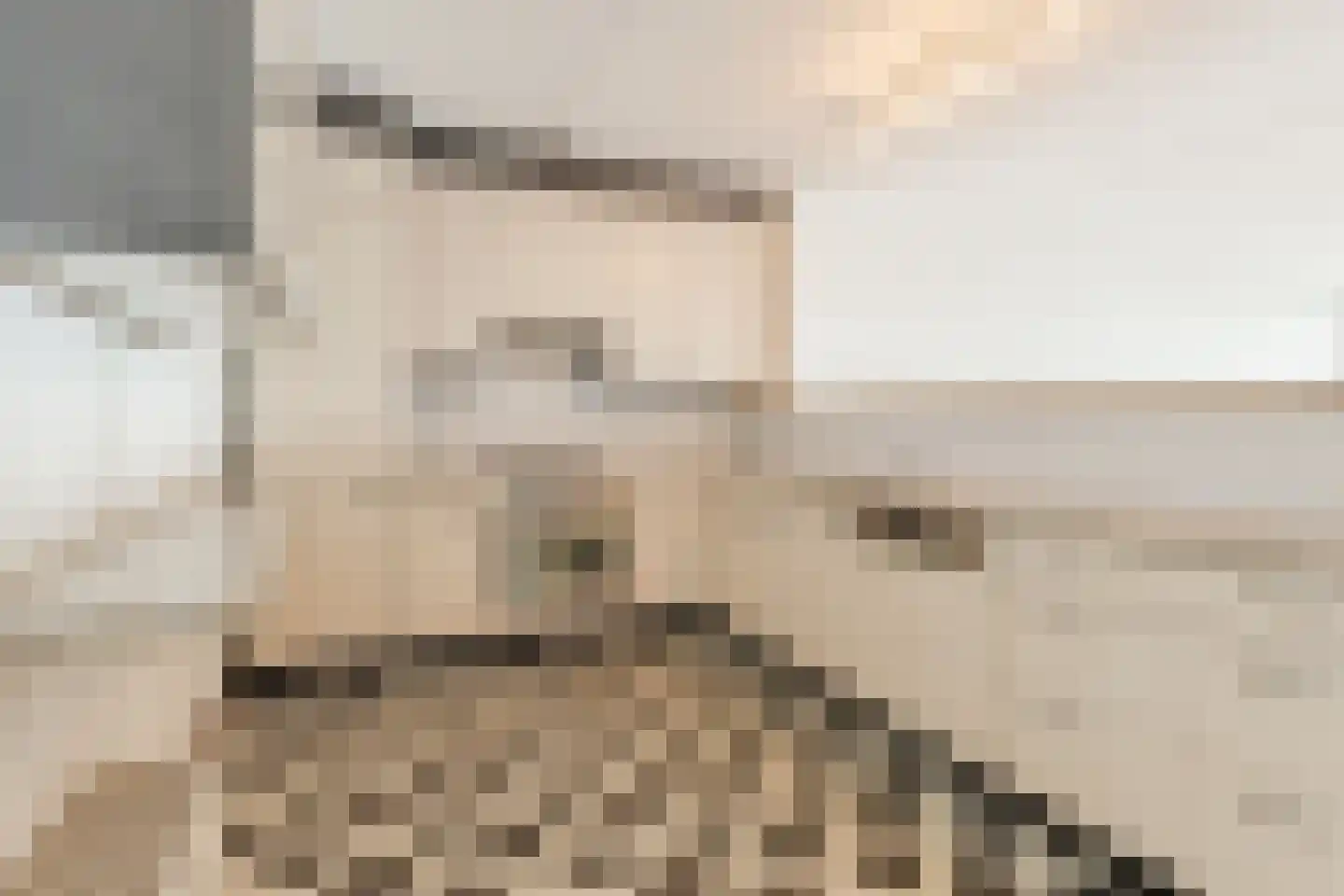 Veerdam 107 Papendrecht thumbnail 10