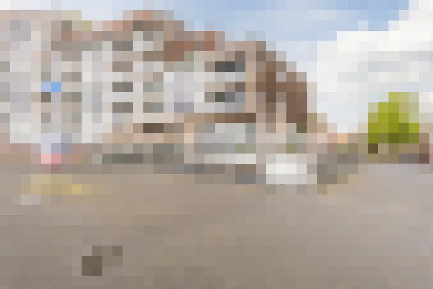 Veerdam 107 Papendrecht thumbnail 27