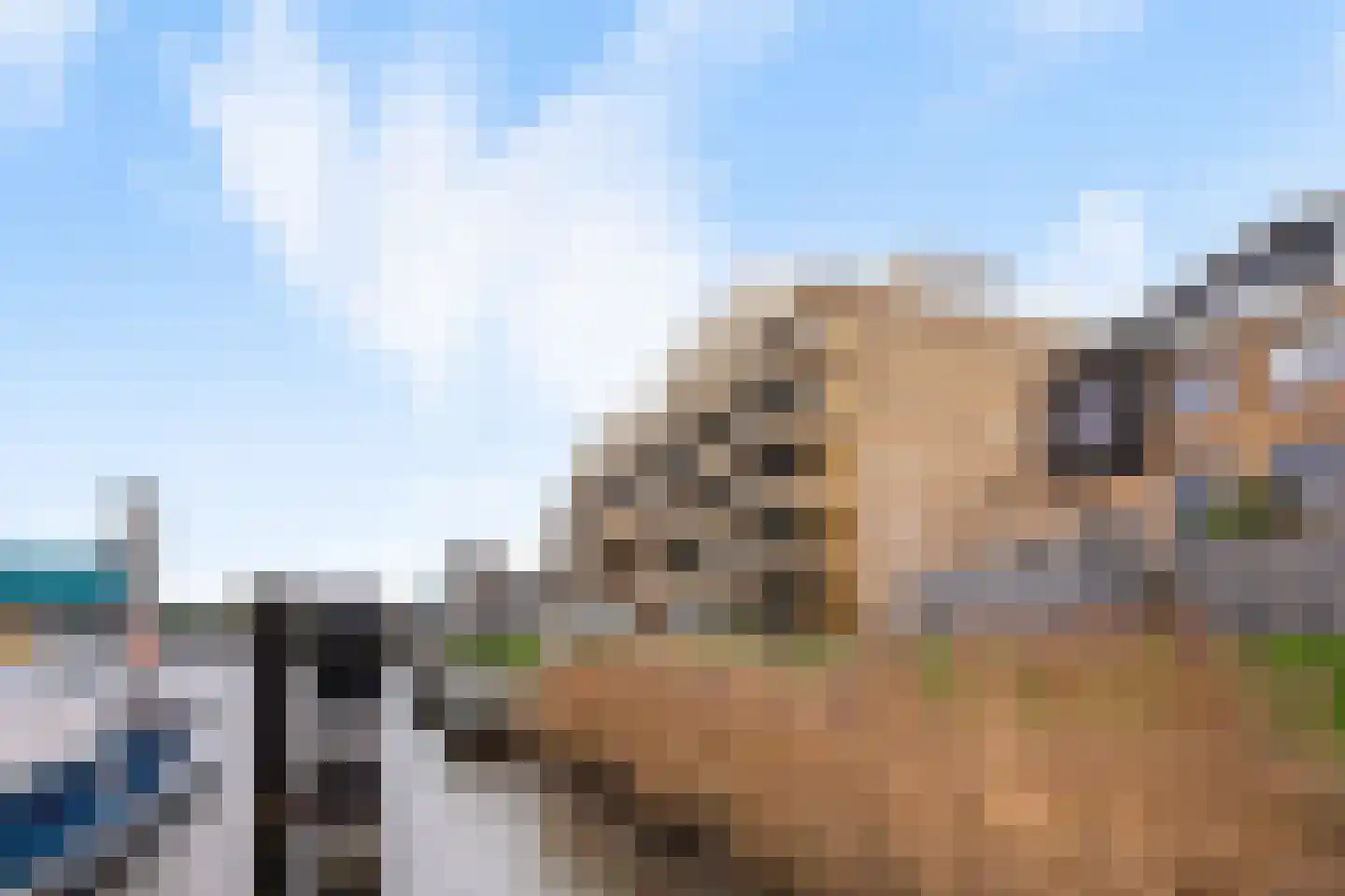 Veerdam 11 Krimpen aan den IJssel thumbnail 45