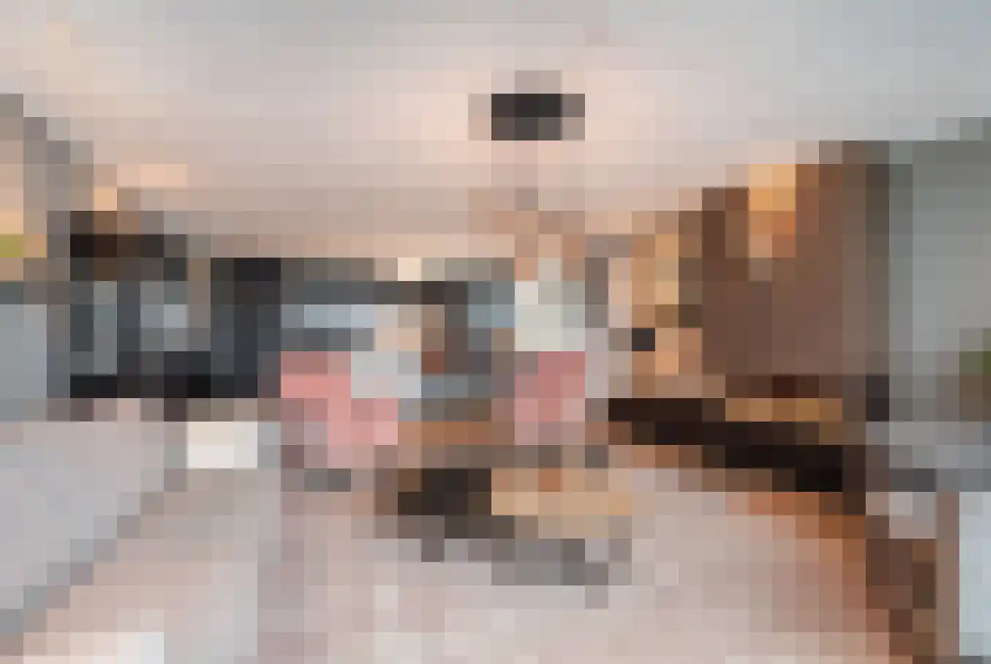 Veerdam 11 Krimpen aan den IJssel thumbnail 5