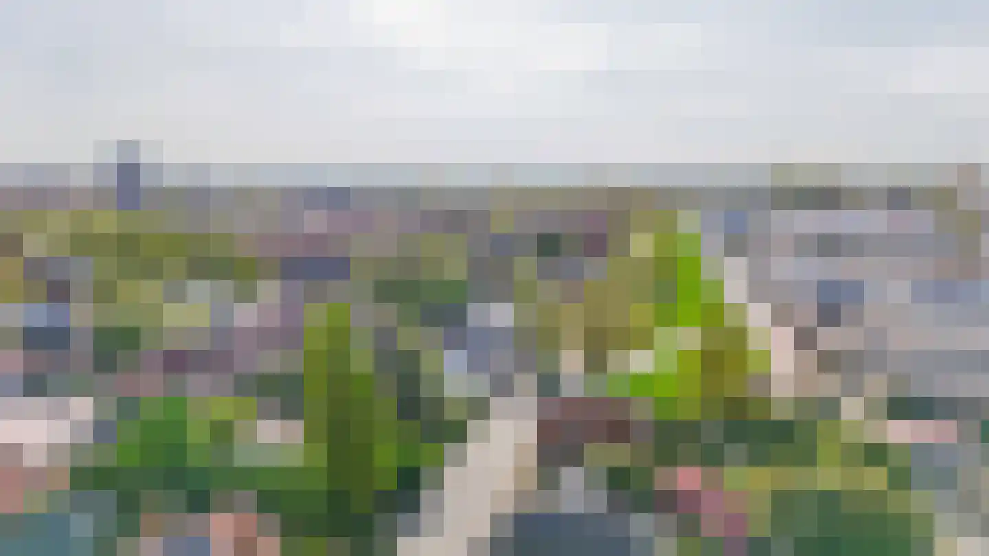 Veerdam 11 Krimpen aan den IJssel thumbnail 51