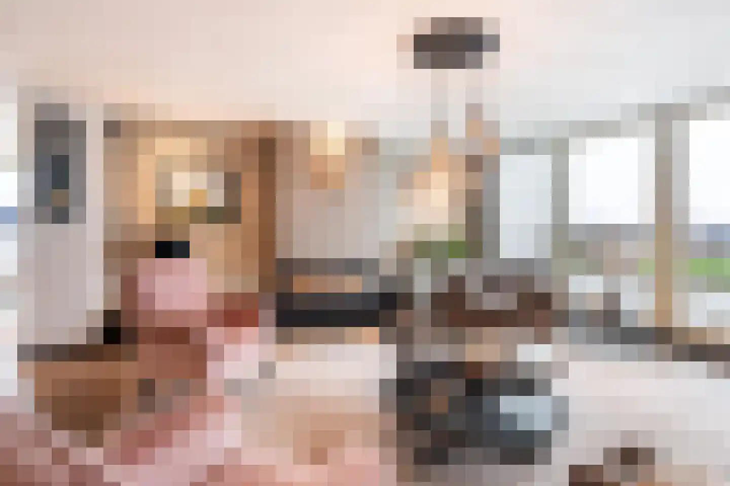 Veerdam 11 Krimpen aan den IJssel thumbnail 6