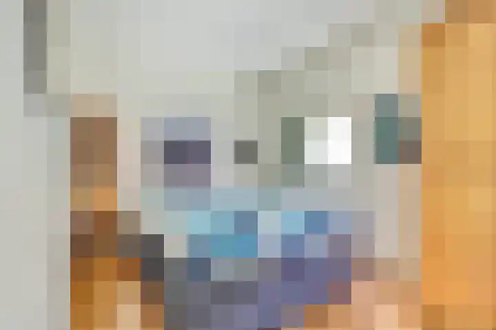 Veerdam 14 Kortgene thumbnail 11