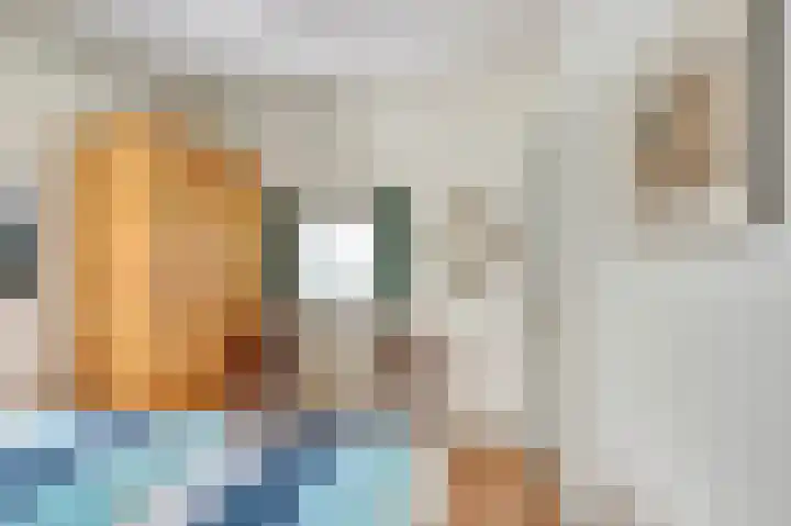 Veerdam 14 Kortgene thumbnail 12
