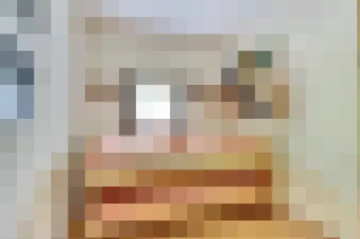 Veerdam 14 Kortgene thumbnail 13