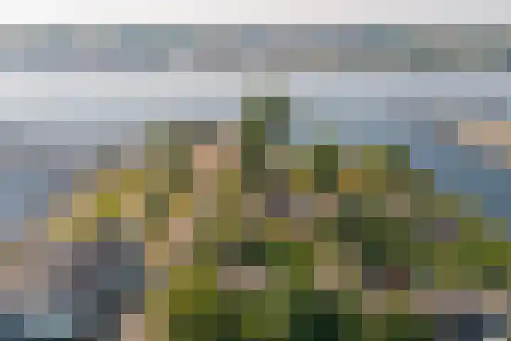 Veerdam 14 Kortgene thumbnail 19