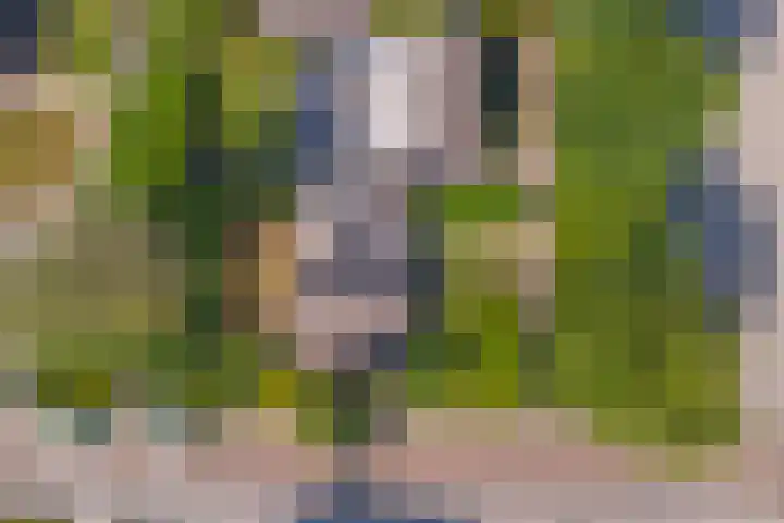 Veerdam 14 Kortgene thumbnail 21