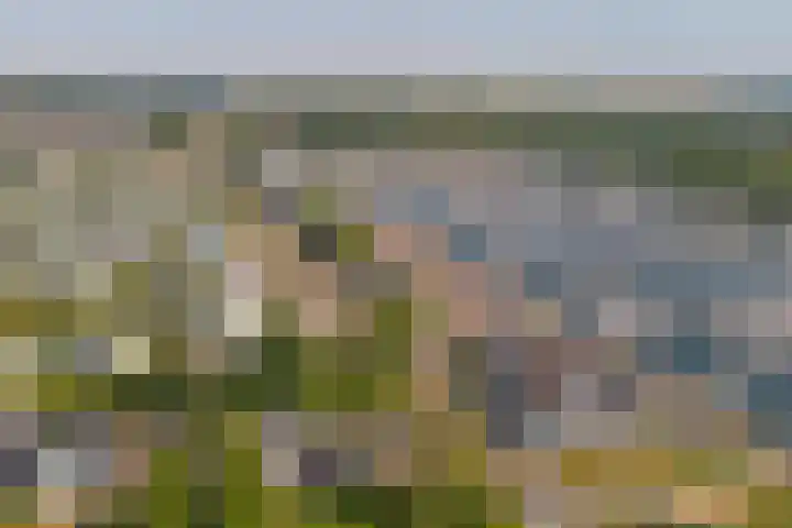 Veerdam 14 Kortgene thumbnail 22