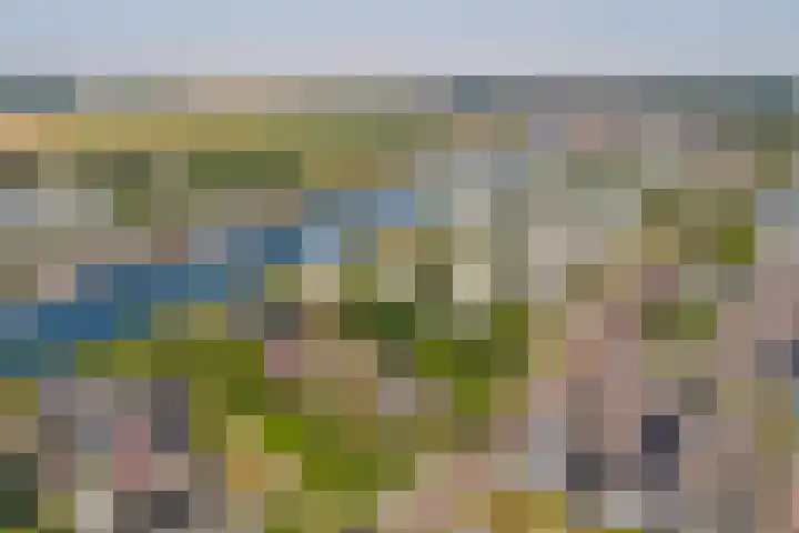 Veerdam 14 Kortgene thumbnail 23