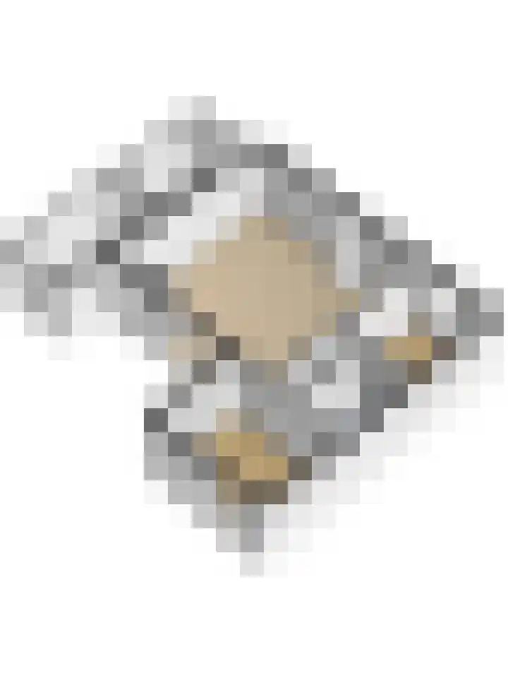 Veerdam 14 Kortgene thumbnail 33