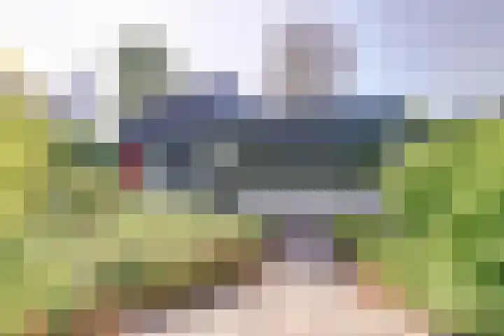 Veerdam 14 Kortgene thumbnail 4