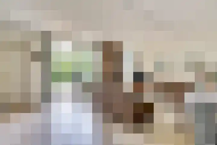 Veerdam 14 Kortgene thumbnail 7