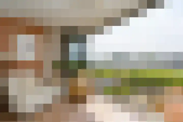 Veerdam 14 Lent thumbnail 14