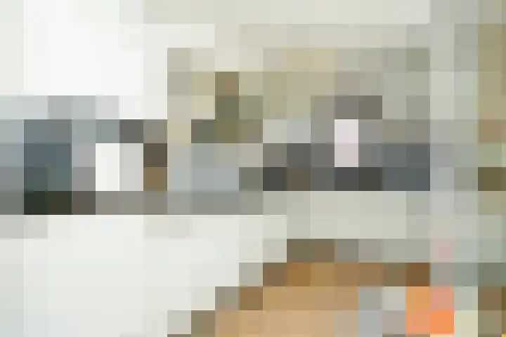 Veerdam 14 Lent thumbnail 17