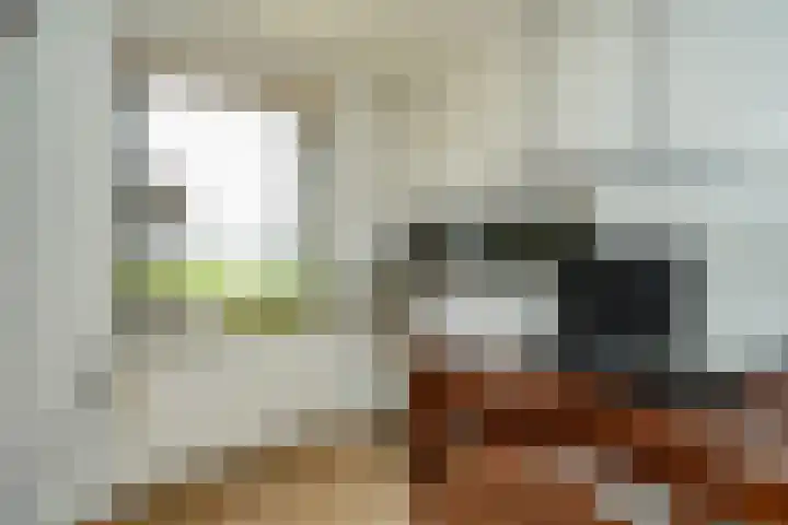 Veerdam 14 Lent thumbnail 20