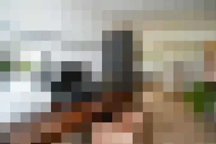 Veerdam 14 Lent thumbnail 21
