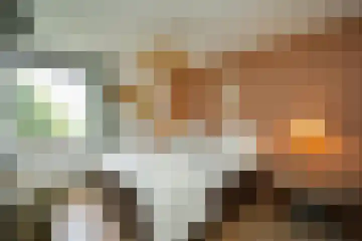 Veerdam 14 Lent thumbnail 25