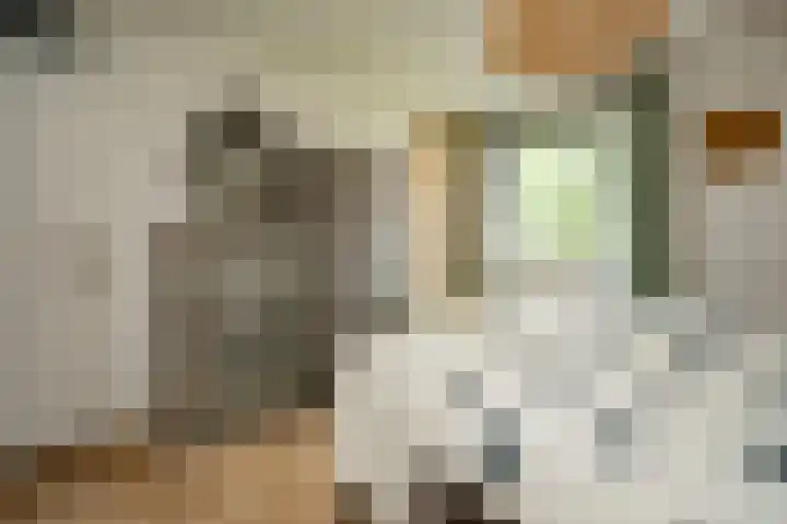 Veerdam 14 Lent thumbnail 26