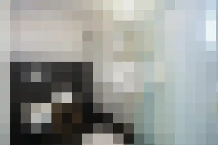 Veerdam 14 Lent thumbnail 29
