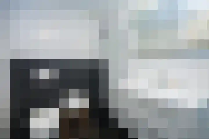 Veerdam 14 Lent thumbnail 30