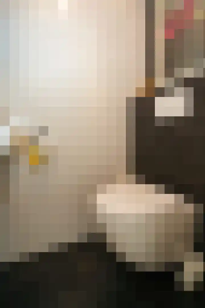 Veerdam 14 Lent thumbnail 32
