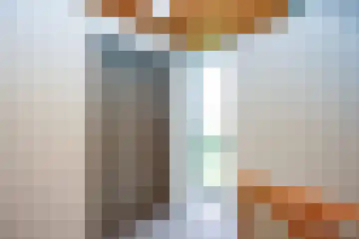 Veerdam 14 Lent thumbnail 33