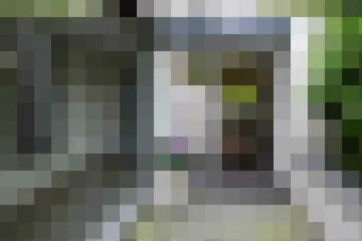 Veerdam 14 Lent thumbnail 4