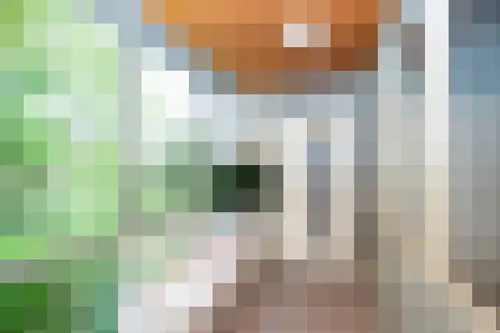 Veerdam 14 Lent thumbnail 5