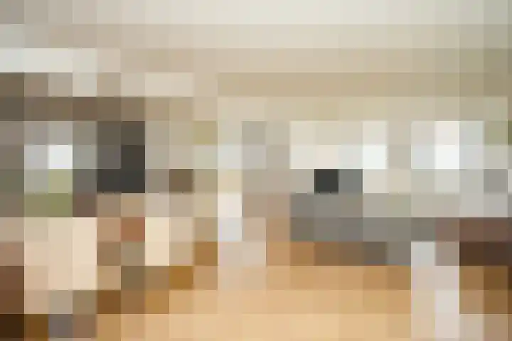 Veerdam 14 Lent thumbnail 7