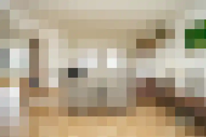 Veerdam 14 Lent thumbnail 8