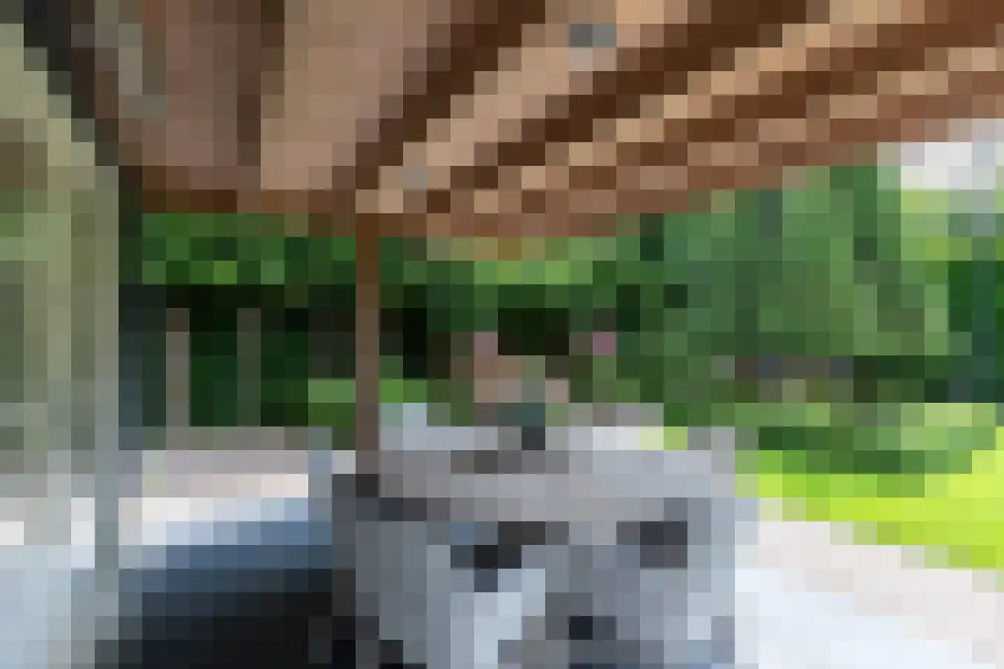 Veerdam 17 Papendrecht thumbnail 20