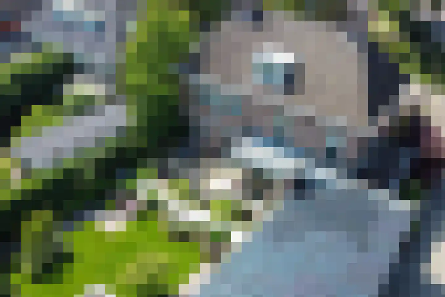 Veerdam 17 Papendrecht thumbnail 22