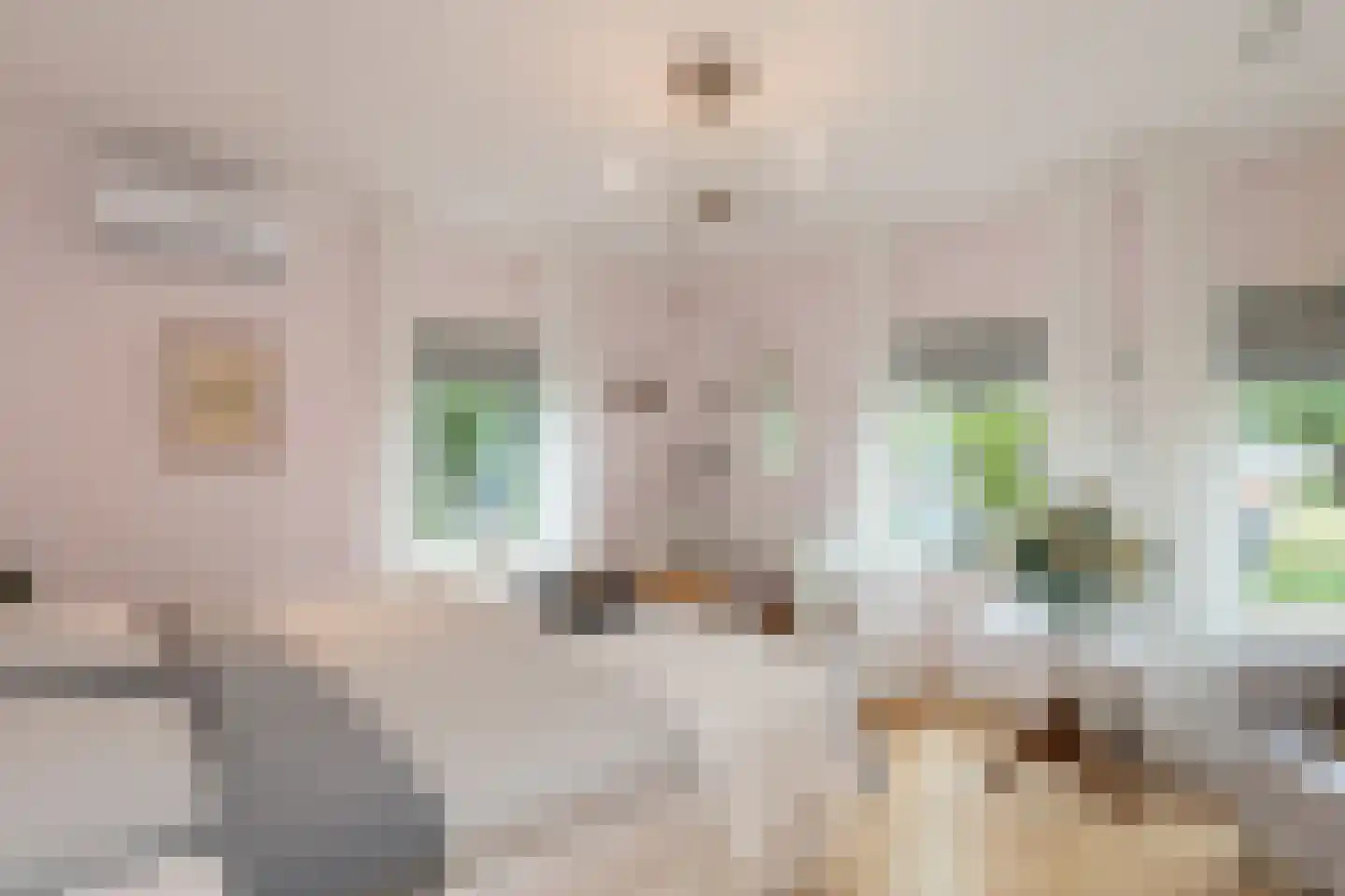 Veerdam 17 Papendrecht thumbnail 41