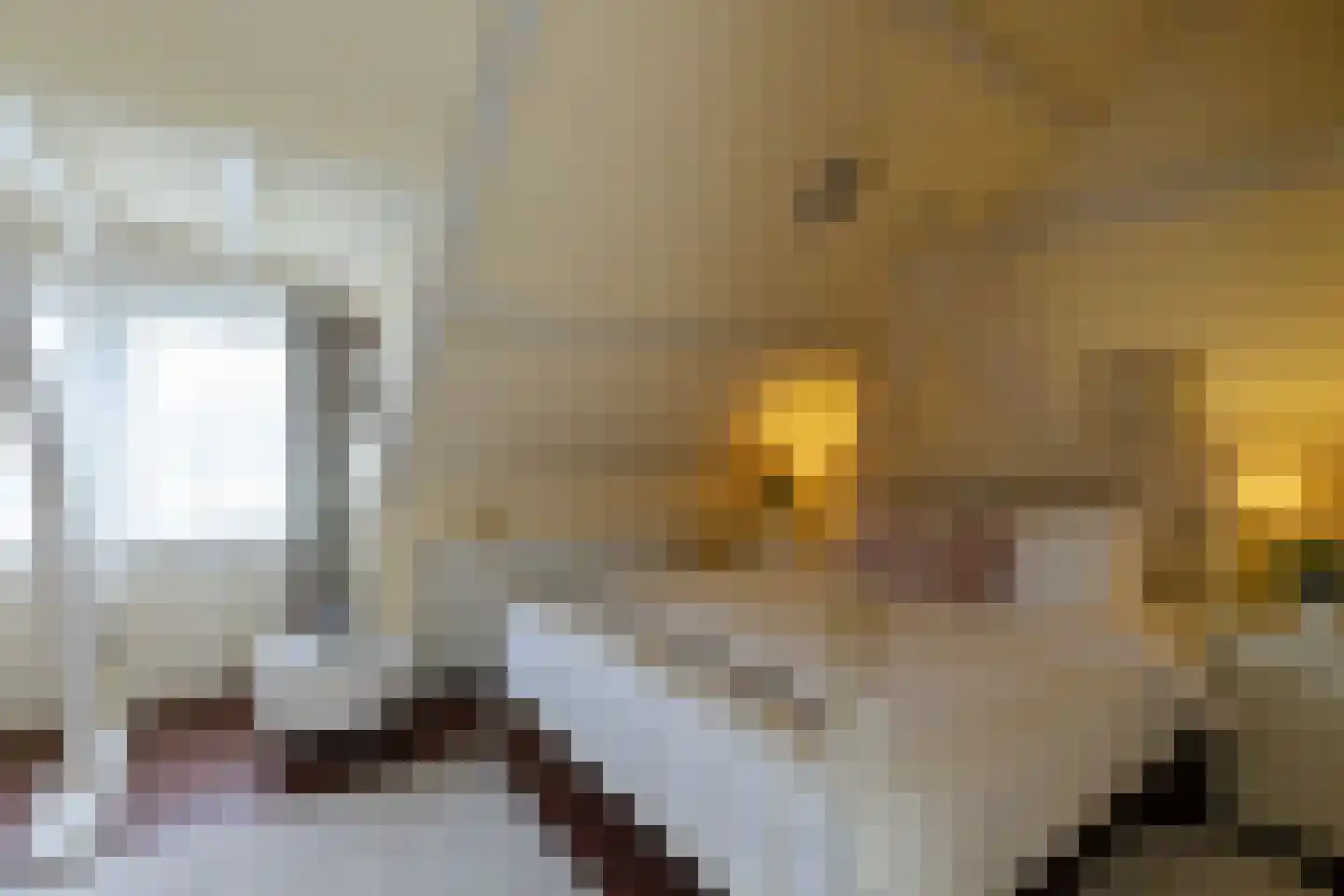 Veerdam 17 Papendrecht thumbnail 46