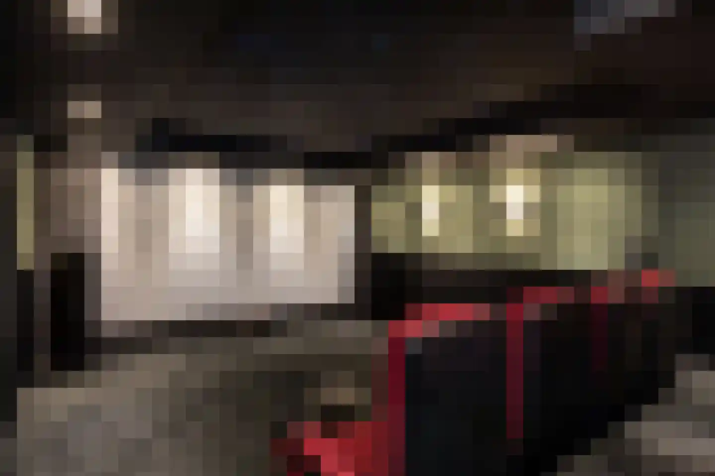 Veerdam 17 Papendrecht thumbnail 49