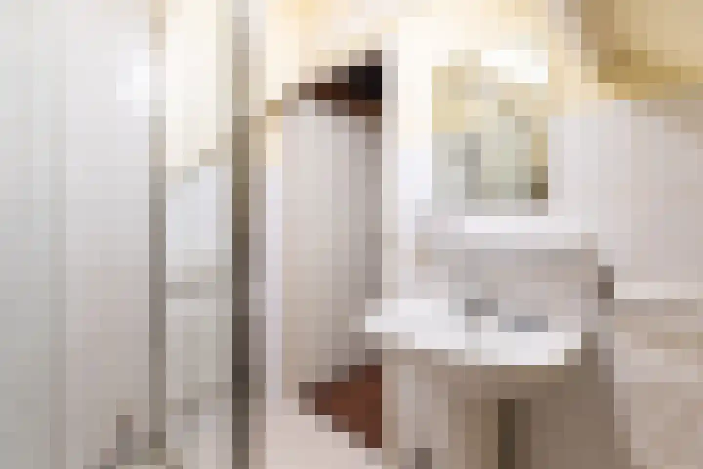 Veerdam 17 Papendrecht thumbnail 51