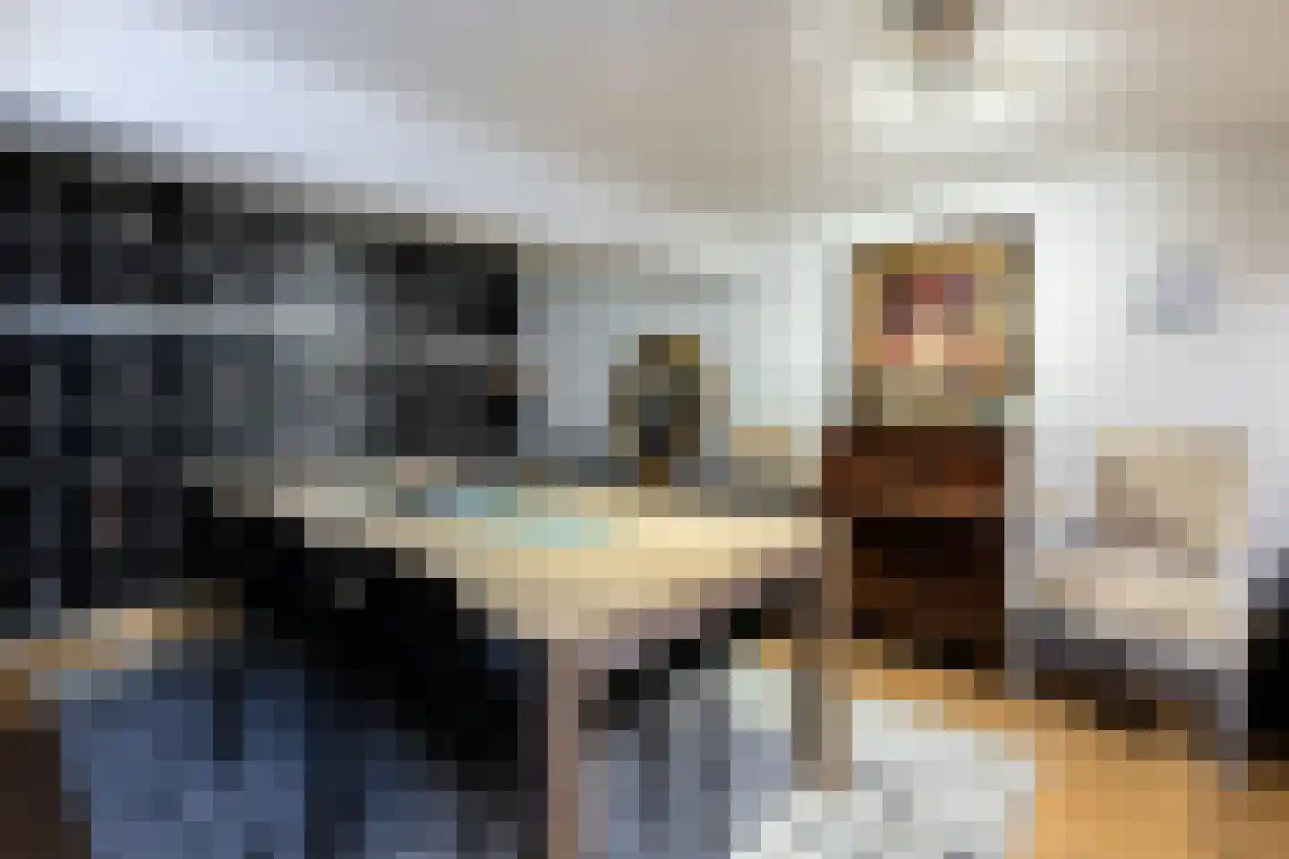 Veerdam 17 Papendrecht thumbnail 51