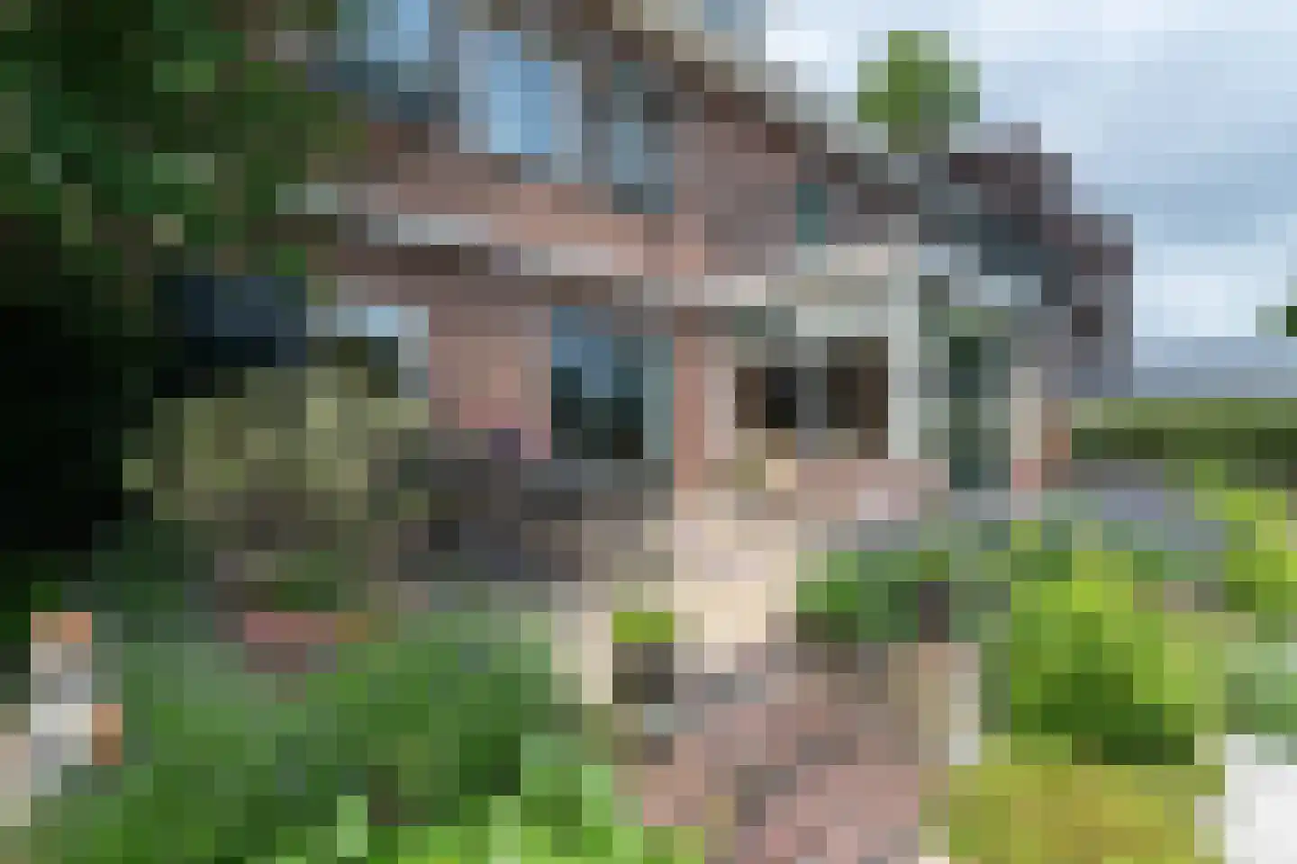 Veerdam 17 Papendrecht thumbnail 52