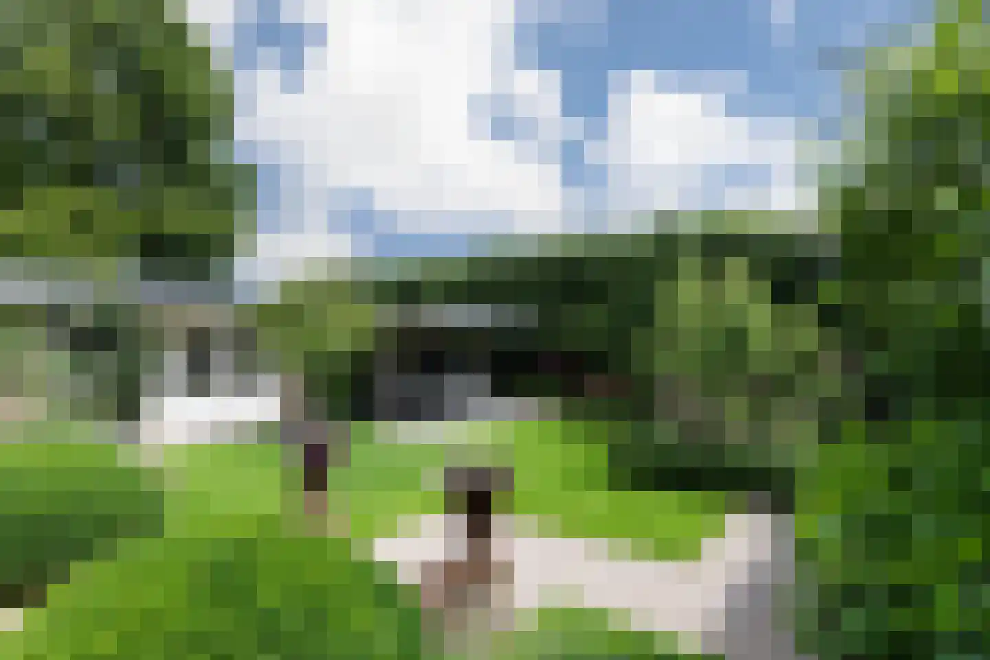 Veerdam 17 Papendrecht thumbnail 56
