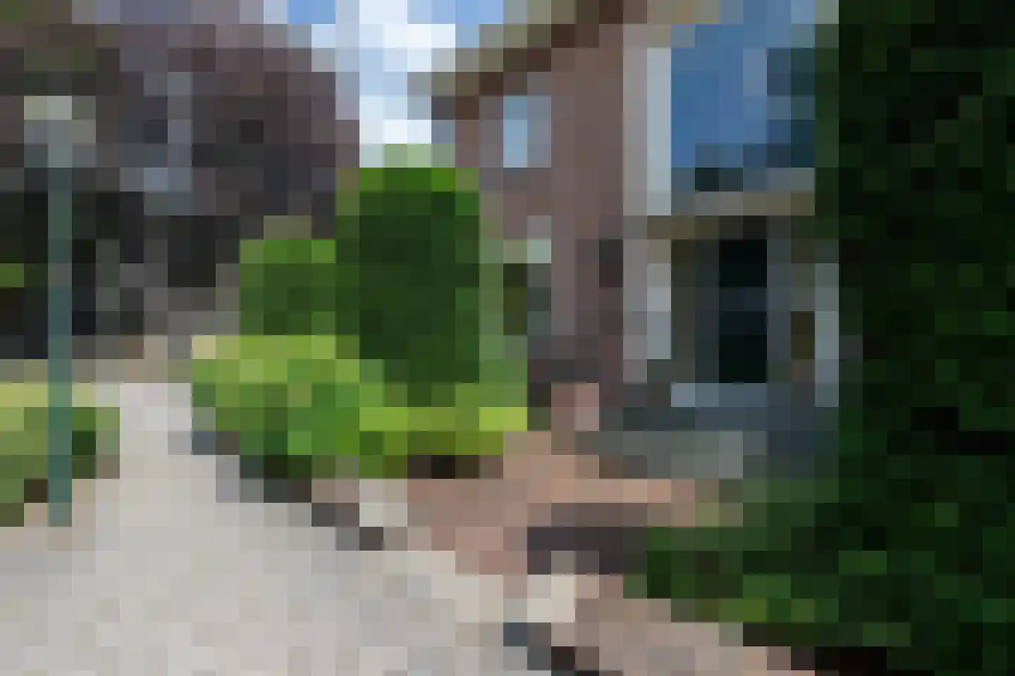 Veerdam 17 Papendrecht thumbnail 6