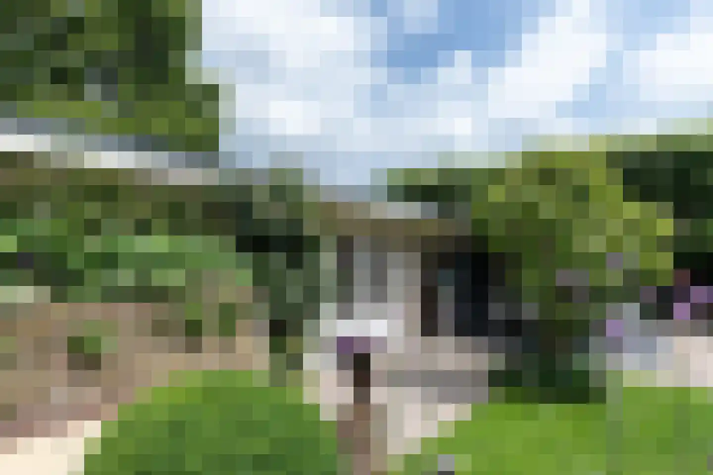 Veerdam 17 Papendrecht thumbnail 60