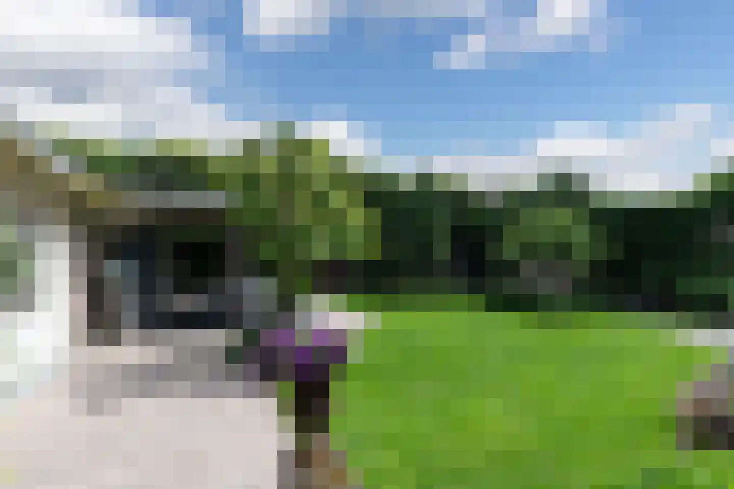 Veerdam 17 Papendrecht thumbnail 61