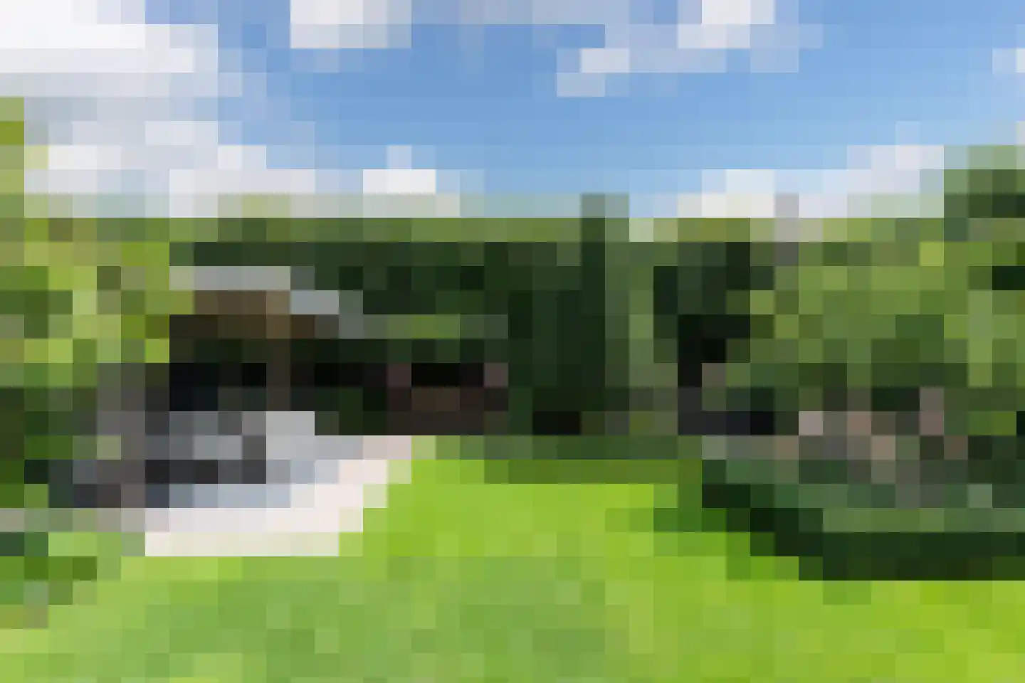 Veerdam 17 Papendrecht thumbnail 62