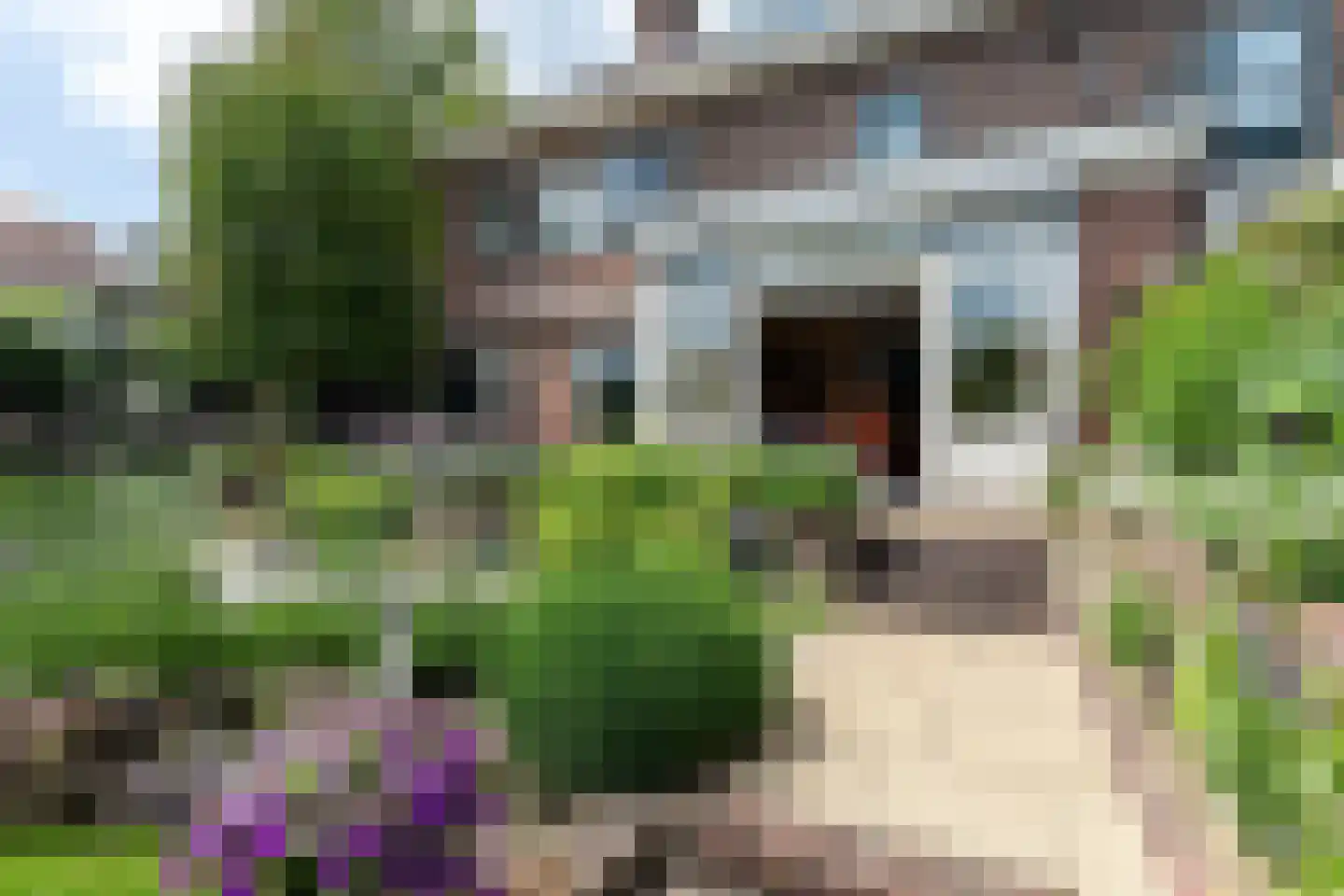 Veerdam 17 Papendrecht thumbnail 68