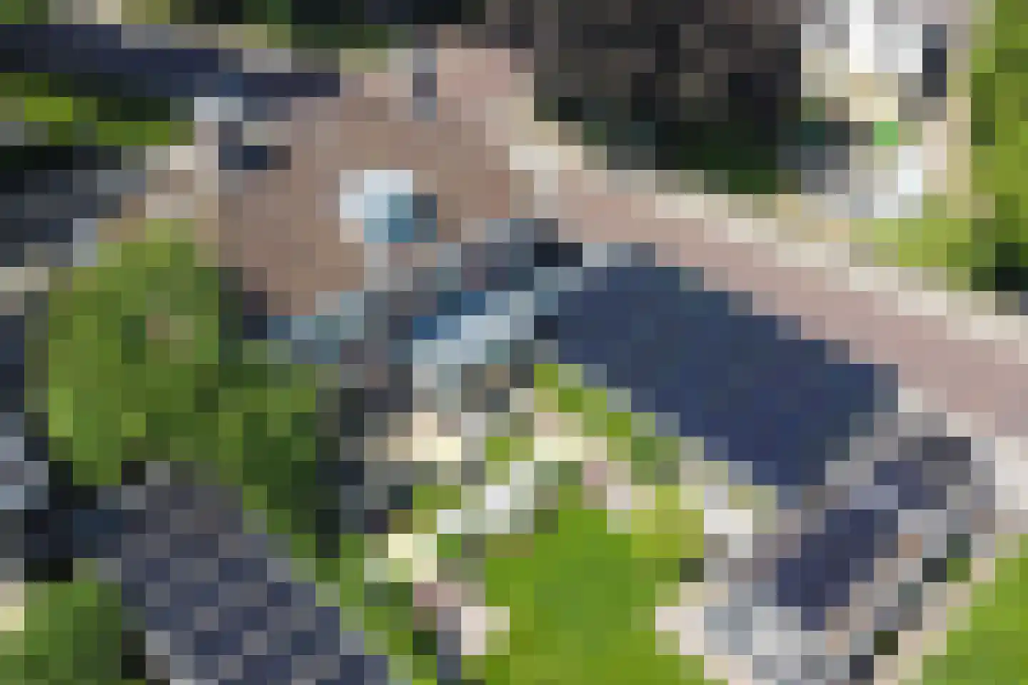Veerdam 17 Papendrecht thumbnail 72
