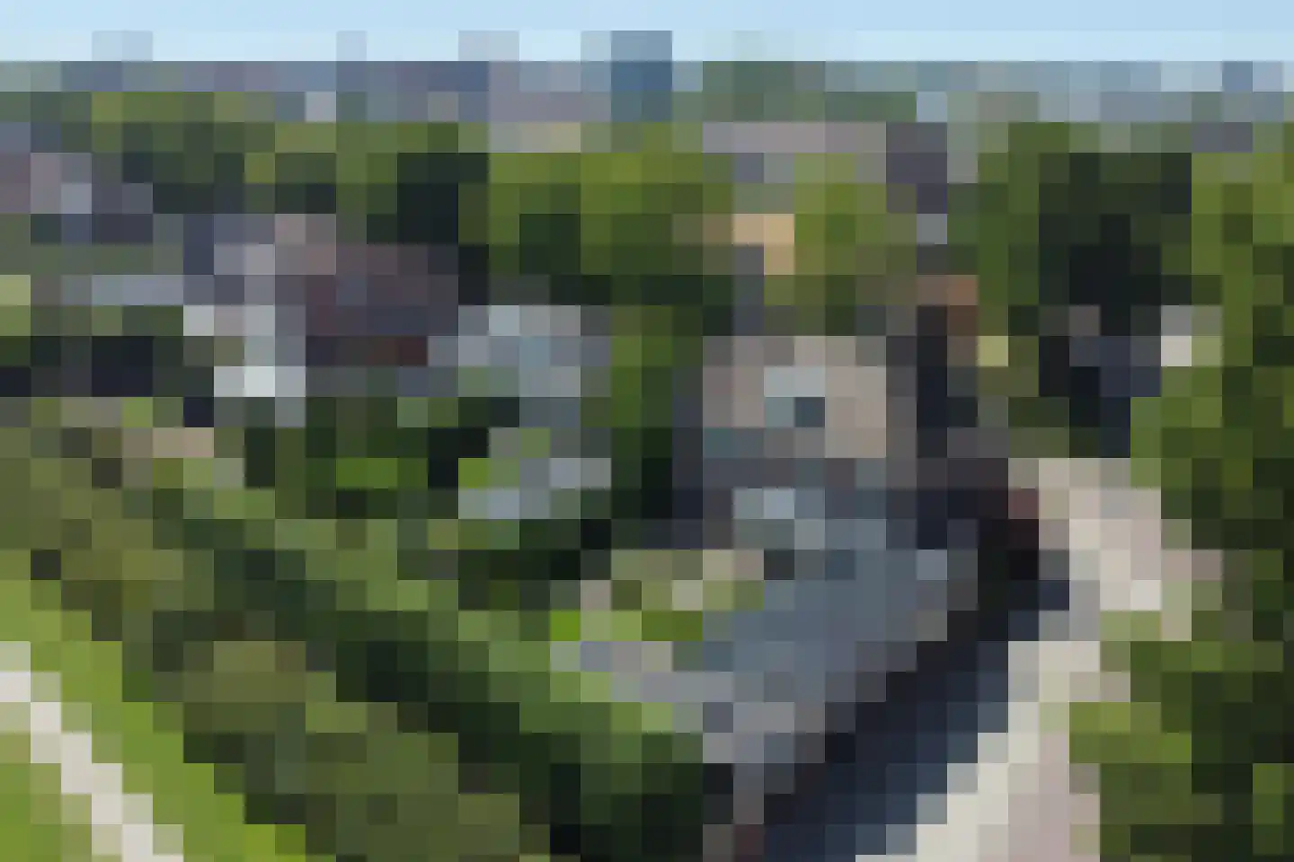 Veerdam 17 Papendrecht thumbnail 73