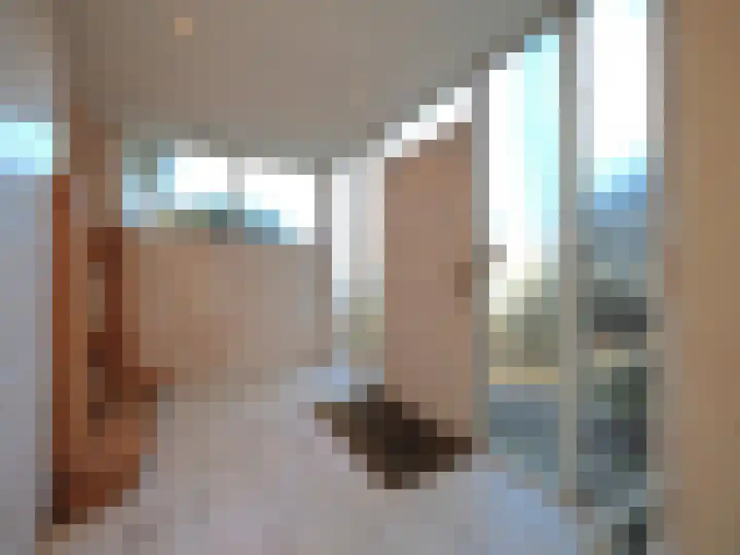 Veerdam 2 Papendrecht thumbnail 11