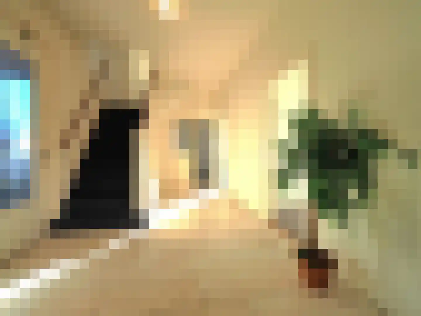 Veerdam 2 Papendrecht thumbnail 13
