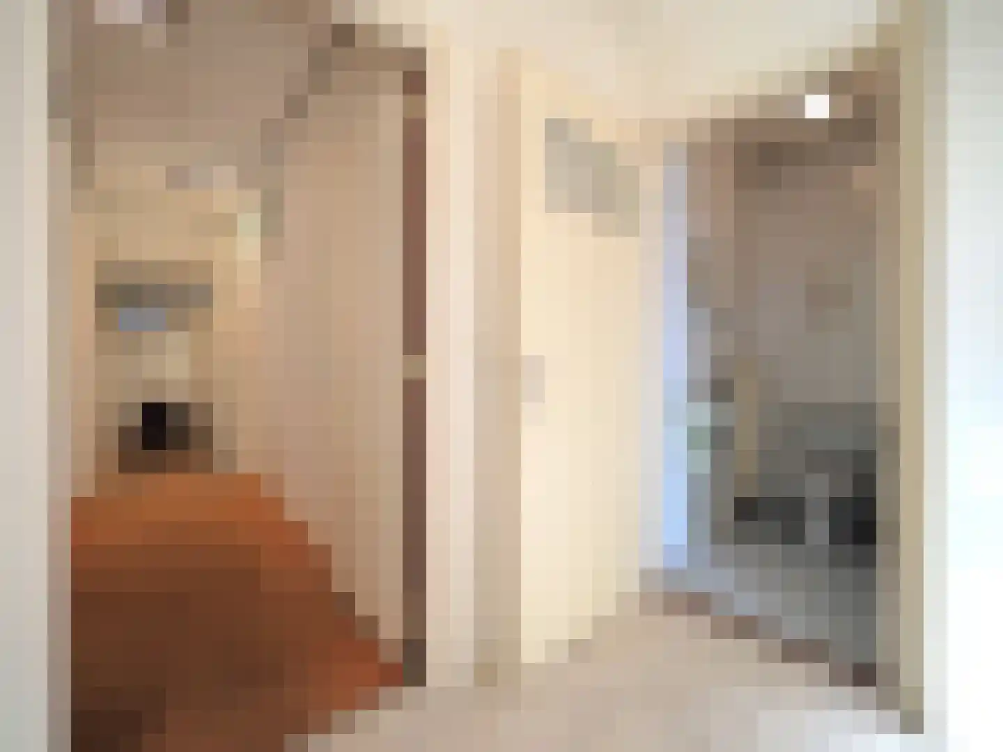 Veerdam 2 Papendrecht thumbnail 19